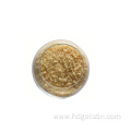 Competitive price hot selling unflavored gelatin powder